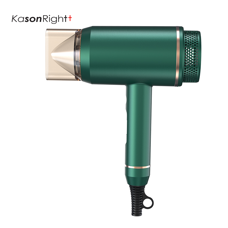 1800W Ionic with 360° Magnetic Nozzle & Diffuser, Fast Drying Ions Hair Dryer for Home Salon